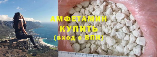 прущие грибы Бородино