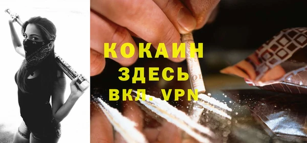 прущие грибы Бородино