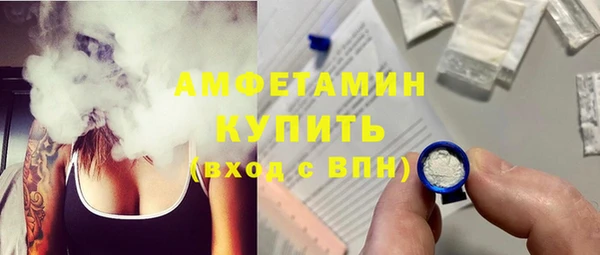 прущие грибы Бородино