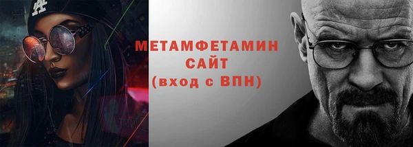 прущие грибы Бородино