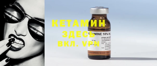 прущие грибы Бородино