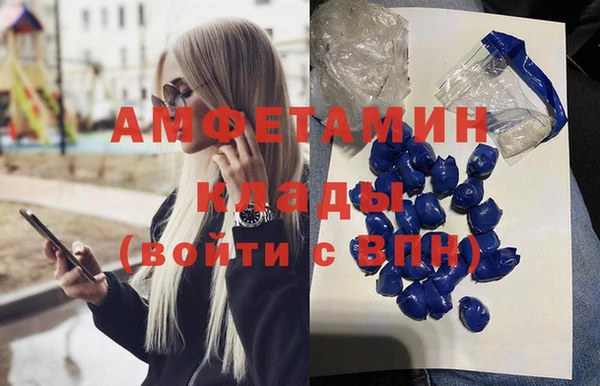 прущие грибы Бородино