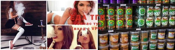прущие грибы Бородино