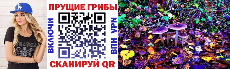 Купить где  Кулебаки  Галлюциногенные грибы MAGIC MUSHROOMS 